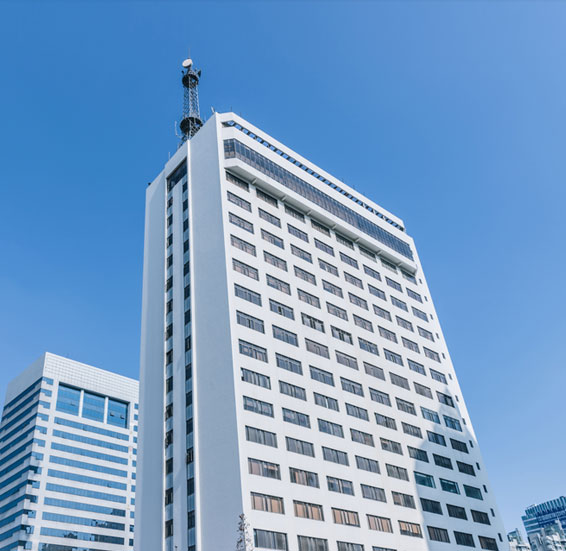 陕西春树实业有限公司